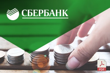 PDF - презентация для Сбербанка