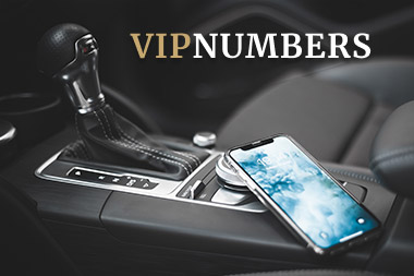 Создание лендинга по продаже красивых номеров «Vipnumber»