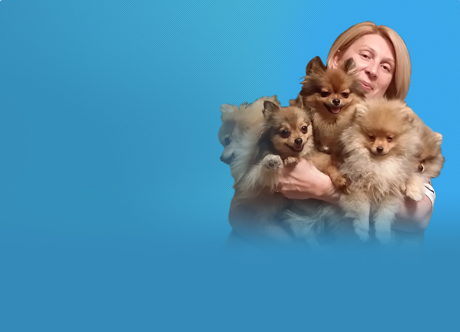 Создание лендинга по продаже породистых щенков