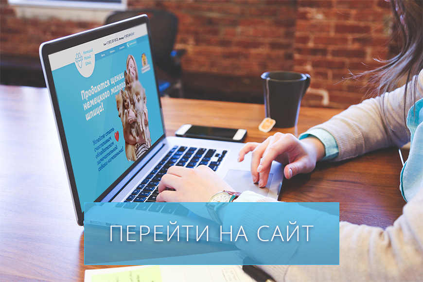 Создание лендинга